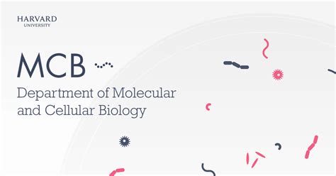 harvard department of molecular and cellular biology|harvard university biology department.